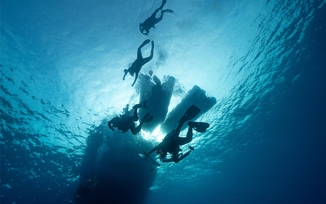 Sesimbra’s Underwater Cleanup: A Joint Venture of Global Divers, FMR Brands, and SAVG Energy for a Record-Breaking Attempt